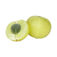 Gooseberry | Berry Fruits Names