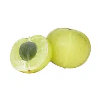 Gooseberry | Berry Fruits Names