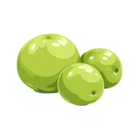 Gooseberry | Wild Fruits Names