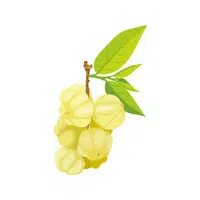Gooseberry