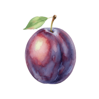 Governor Plum