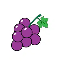 Grape | Wild Fruits Names
