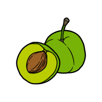 Greengage | Stone Fruits Names