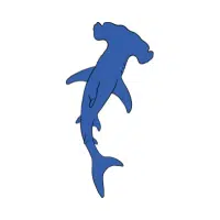 Hammerhead