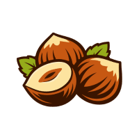 Hazelnut | Hard Fruits Names