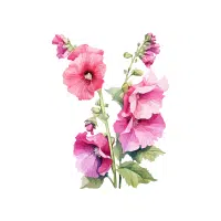 Hollyhock | Biennial Flowers Names