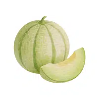 Honeydew