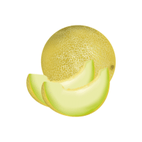 Honeydew | Vine Fruits Names