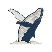Humpback