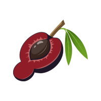 Illawarra | Stone Fruits Names