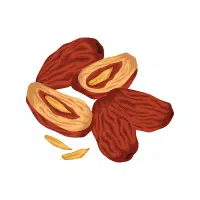 Jujube | Wild Fruits Names