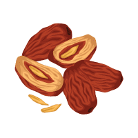 Jujube | Stone Fruits Names
