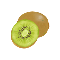Kiwi | Vine Fruits Names