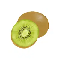 Kiwi | Vine Fruits Names