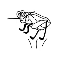 Leafhopper | Nocturnal Insects Names