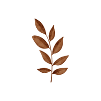 Leafy | Climbing Plants Names