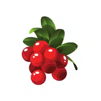 Lingonberry | Wild Fruits Names