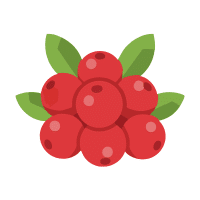 Lingonberry | Berry Fruits Names