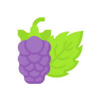 Loganberry | Berry Fruits Names