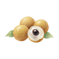 Longan | Stone Fruits Names