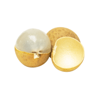 Longan | Orchard Fruit Names