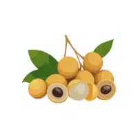 Longan | Soft Fruits Names