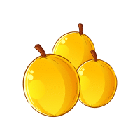 Loquat | Stone Fruits Names