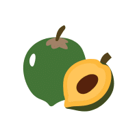 Lucuma | Stone Fruits Names