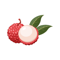 Lychee | Stone Fruits Names