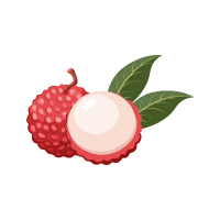 Lychee | Orchard Fruit Names