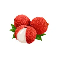 Lychee | Soft Fruits Names