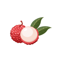 Lychee | Subtropical Fruits Names