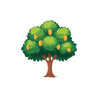 Mango | Climbing Plants Names