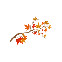 Maple | Climbing Plants Names