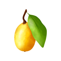Marula | Stone Fruits Names