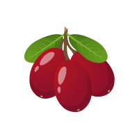 Miracle Berry | Berry Fruits Names