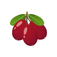Miracle Berry | Berry Fruits Names