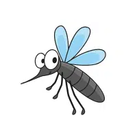Mosquito | Nocturnal Insects Names