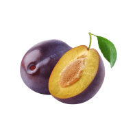 Muntries | Stone Fruits Names