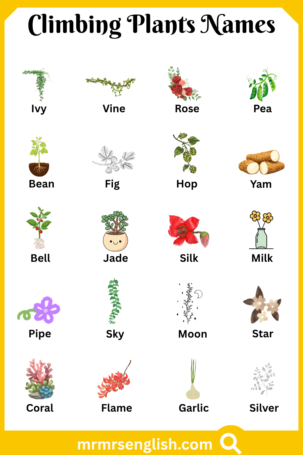 Names of Climbing Plants with Pictures