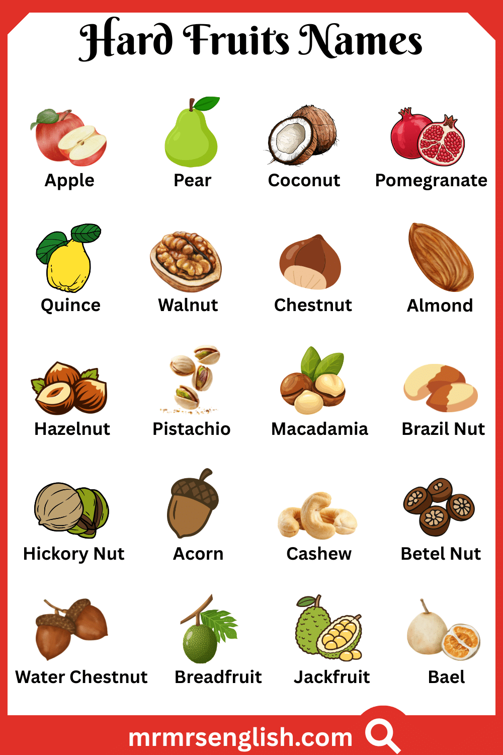 Names of Hard Fruits with Pictures
