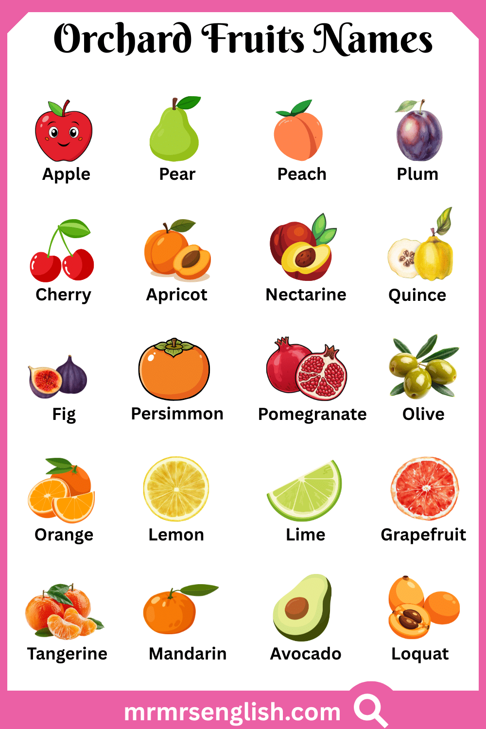 Names of Orchard Fruits with Pictures