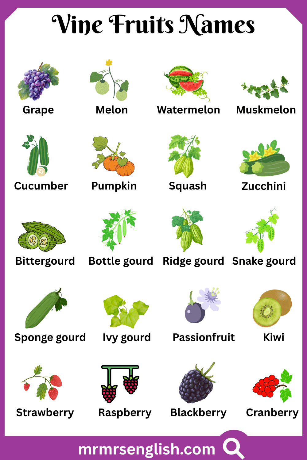 Names of Vine Fruits with Pictures