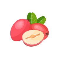 Natal Plum | Stone Fruits Names
