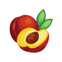 Nectarine | Orchard Fruit Names