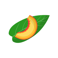Nectarine | Deciduous Plants Names