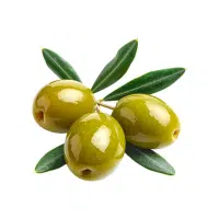 Olive | Wild Fruits Names