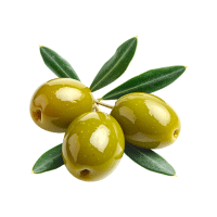 Olive | Orchard Fruit Names
