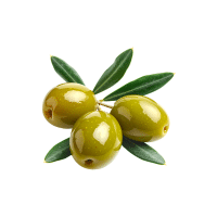 Olive | Subtropical Fruits Names