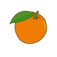 Orange | Wild Fruits Names